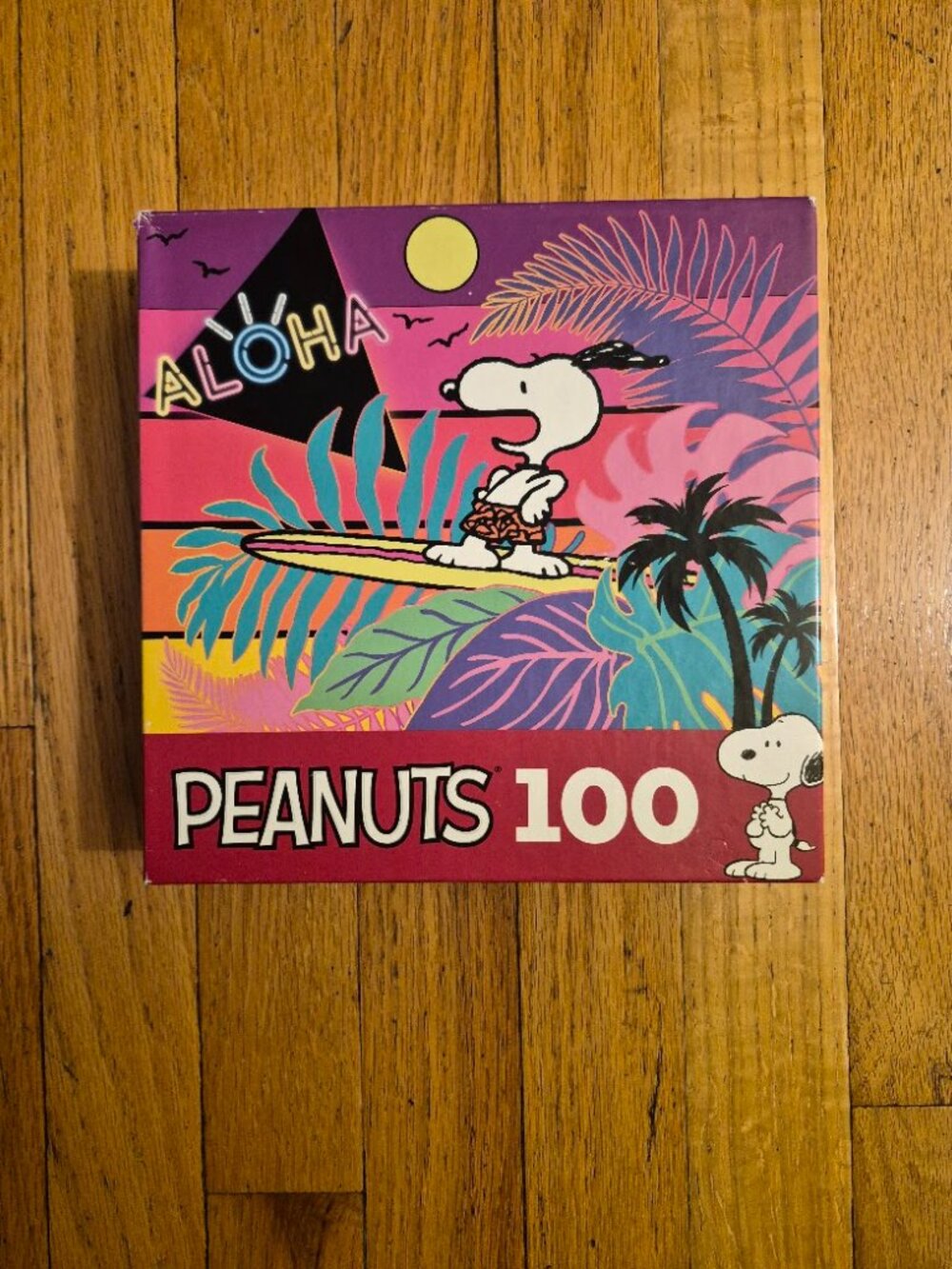 100 Piece Jigsaw Puzzle-Peanuts-Aloha